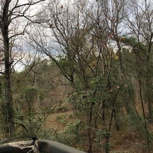 Meet your Posher, Wesley